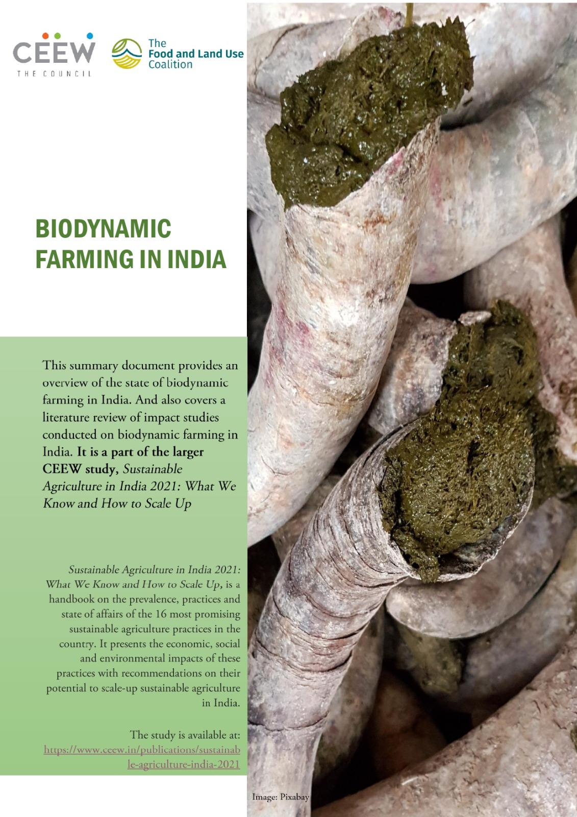 Biodynamic Calendar 2025 India 